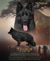 Von WestLynn German Shepherds