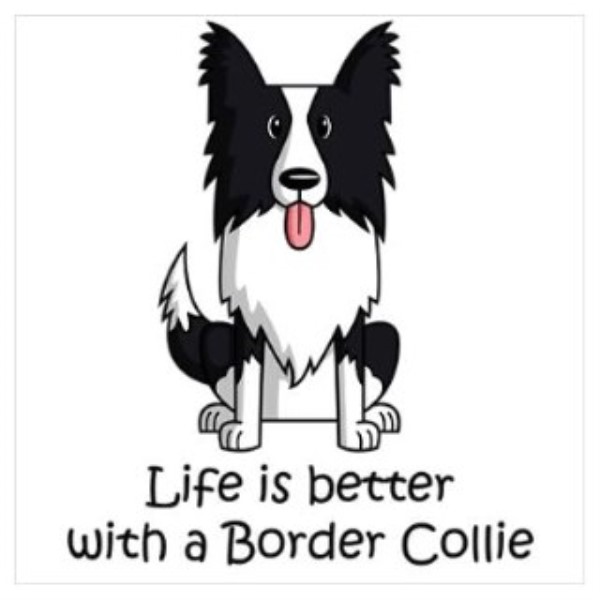 Border Lovers Border Collies