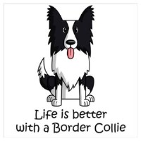 Border Lovers Border Collies Border Collie breeder