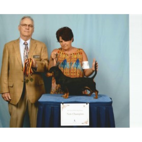 CEDAR Grove DACHSHUNDS