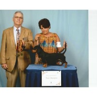 CEDAR Grove DACHSHUNDS Dachshund breeder