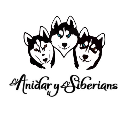 Anidary Siberians