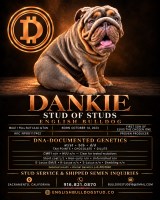 Last Stud Listed