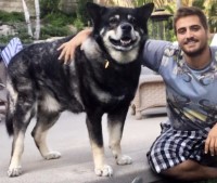 Jeff Palumbo - Alaskan Malamute Stud