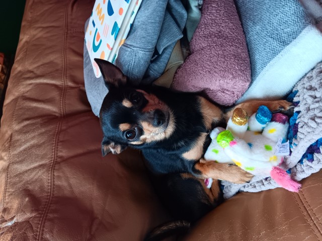 Nikoletta Salvarakis