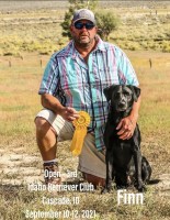 Greg van Eyk - Labrador Retriever Stud