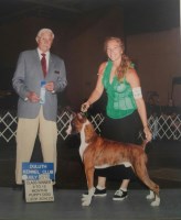 Patricia - Boxer Stud