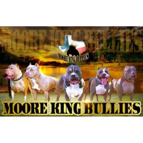 Moore King Bullies