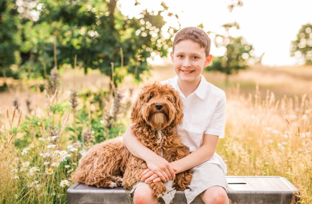 PDX Labradoodles