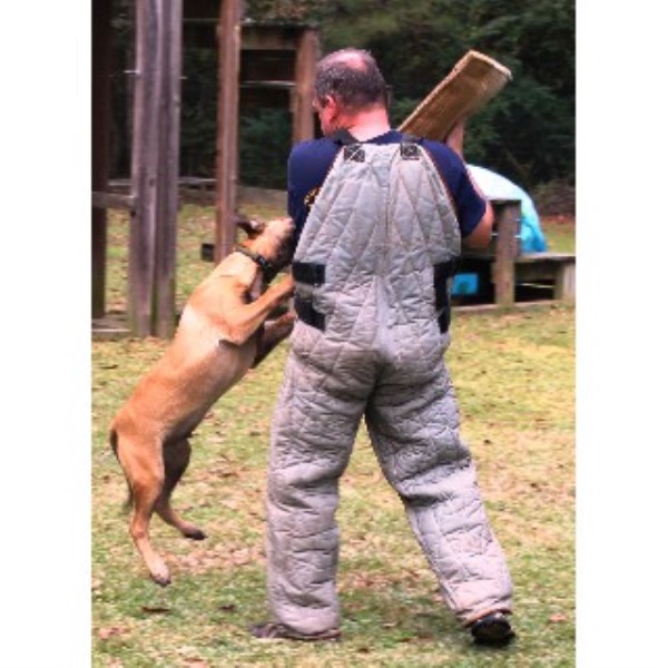The International K9 Foundation, Malinois Breeder in