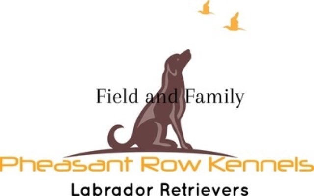 Pheasant Row Kennels