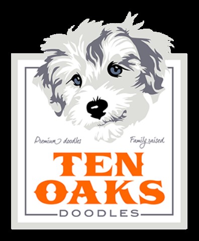Ten Oaks Doodles