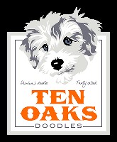 Ten Oaks Doodles Goldendoodle breeder