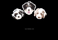 Shady Oak Doodles Bernese Mountain Dog breeder