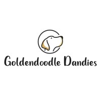 Goldendoodle Dandies Goldendoodle breeder