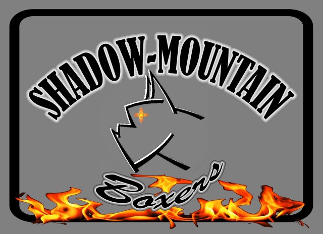 Shadow-Mountain Boxers