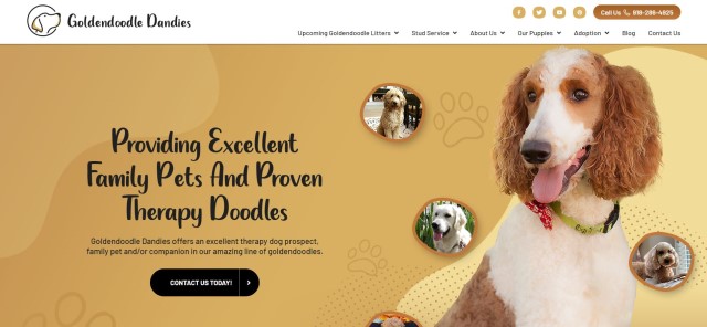 Goldendoodle Breeder 30987