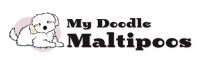 My Doodle Maltipoos Maltipoo breeder