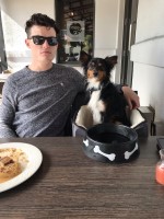 Deborah Lacks - Miniature Australian Shepherd Stud