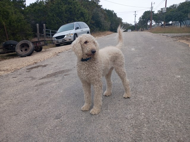 Hill Country Hi View