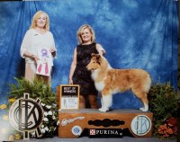 River-Valley Collies Collie breeder