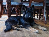 Last Breeder Listed