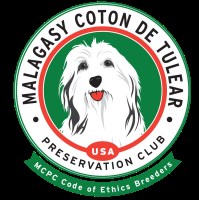 Coton De Tulear thumbnail