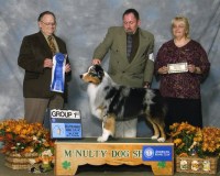 Arrogant Australian Shepherds Australian Shepherd Dog breeder
