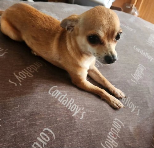 Teacup nut&bolt services