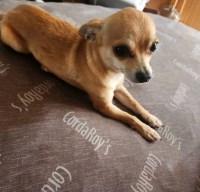 Teacup nut&bolt services