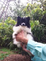 Last Breeder Listed