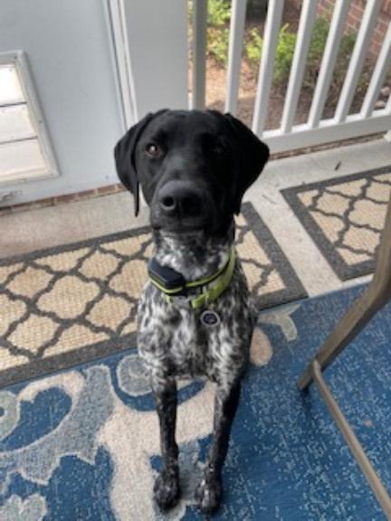 Neptune Project Services LLC