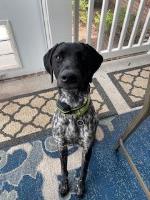 Neptune Project Services LLC