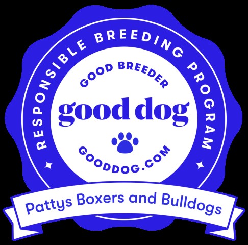 Boxer Breeder 30773