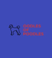 Oodles of Poodles Labradoodle breeder