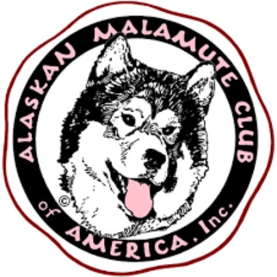 Alaskan Malamute Breeder 30425