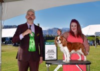 Last Breeder Listed