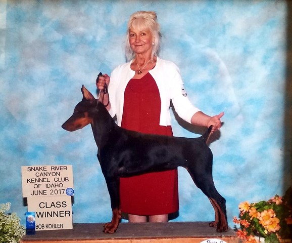 New Life Kennels, Doberman Pinscher Breeder in Filer, Idaho