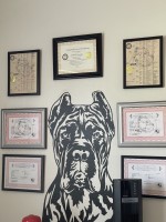 Pantheon CaneCorso Cane Corso breeder