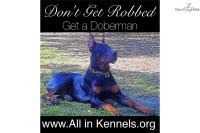 Doberman Dad - Doberman Pinscher Breeder Doberman Pinscher breeder