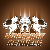 WolfPack Kennels French Bulldog breeder