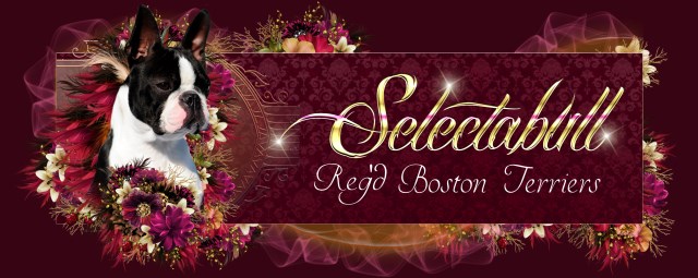 SELECTABULL REG'D