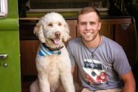 Bailey Williams - Goldendoodle Stud