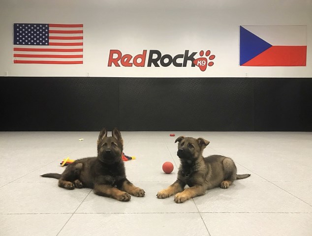 Red Rock K9