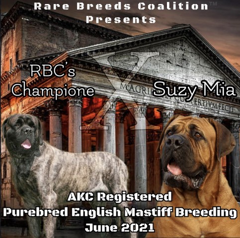 Rare Breeds Coalition