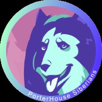 PorterHouse Siberians LLC Siberian Husky breeder