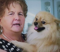 Elizabeth Brown - Pomeranian Stud