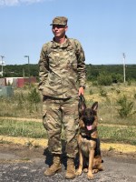 Von der Stadtrand German Shepherds