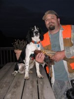 Blackbrook English Springer Spaniels English Springer Spaniel breeder