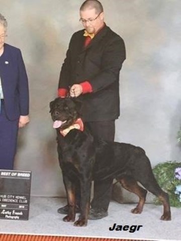 CKC Registered Rottweiler planned breeding